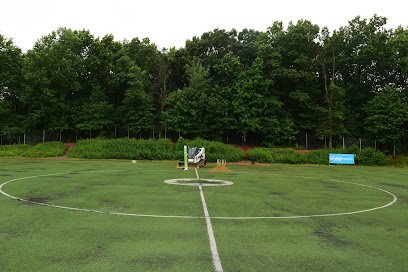 Soccer Field image 1