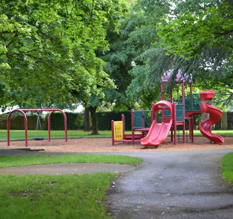 Soccer Field image 2