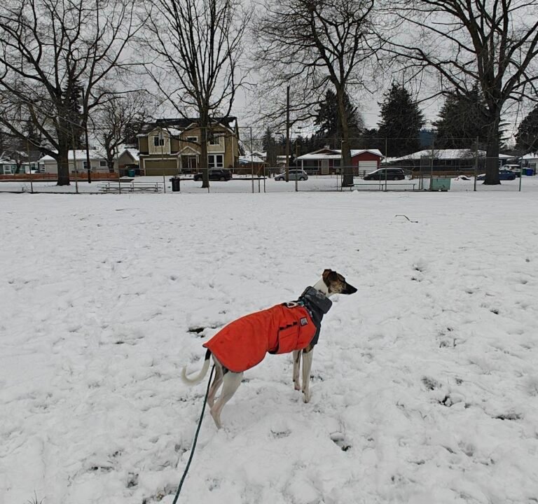 Soccer Field image 3