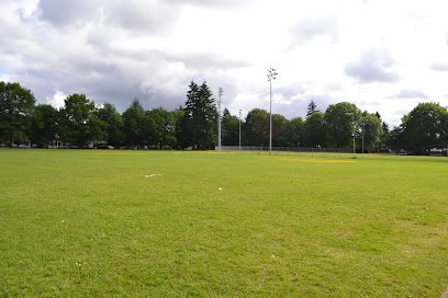 Soccer Field image 1