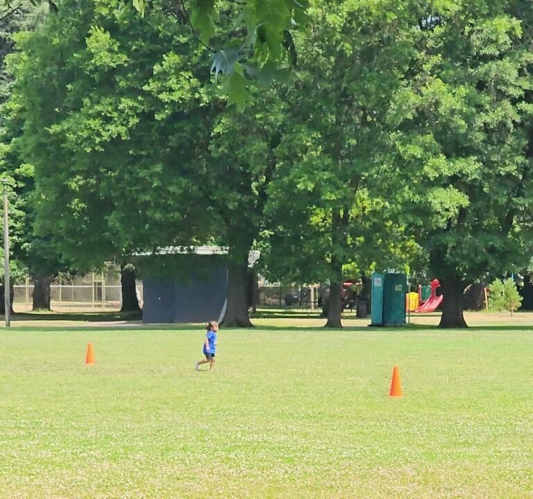 Soccer Field image 4
