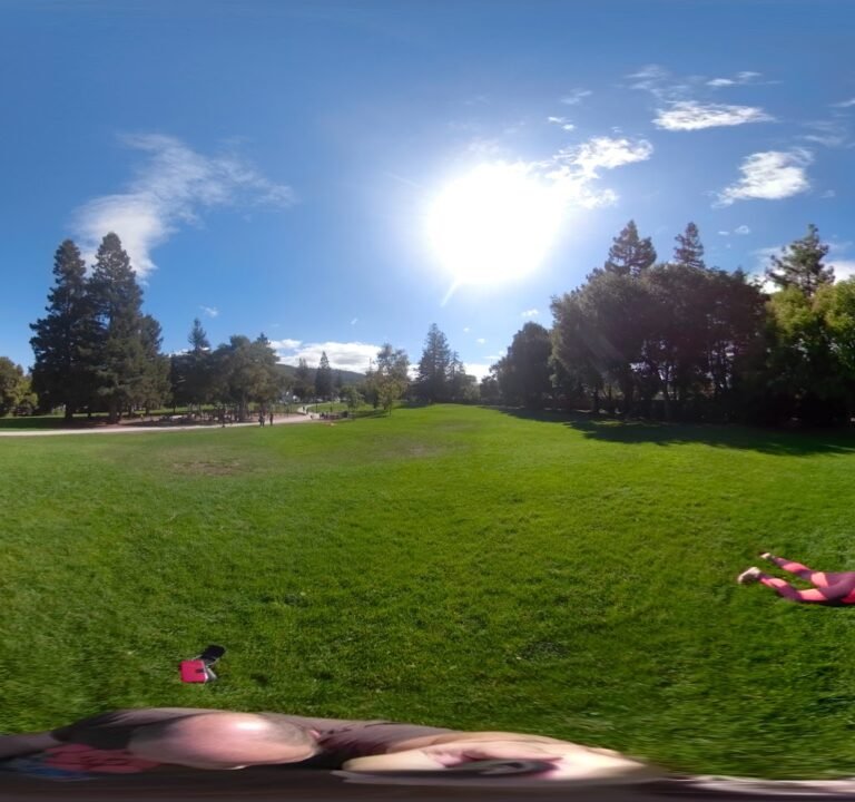 Soccer Field image 3