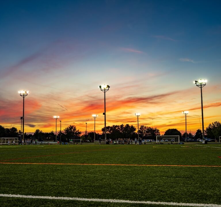 Soccer Field image 2
