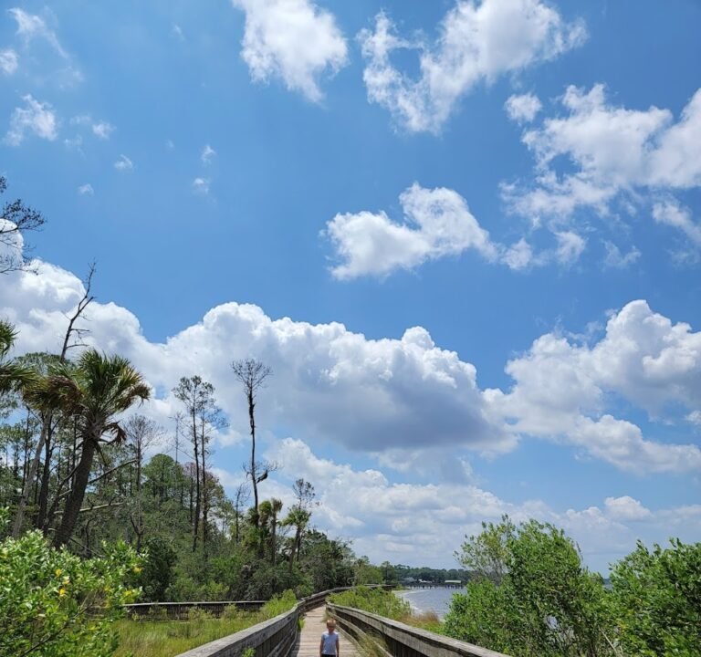 Soccer Field image 2