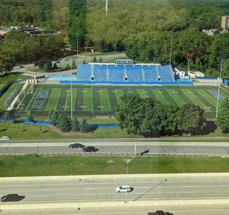 Soccer Field image 2
