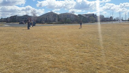 Soccer Field image 1