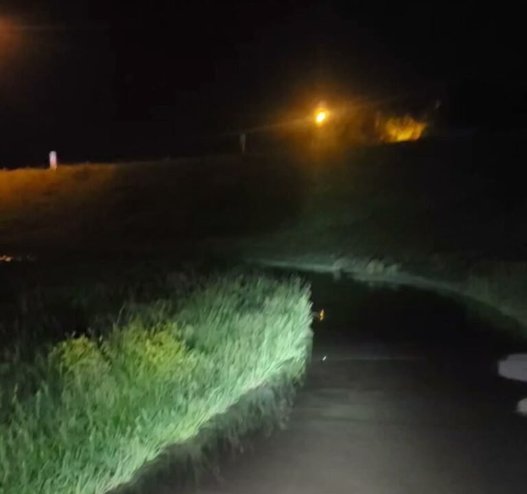 Soccer Field image 4