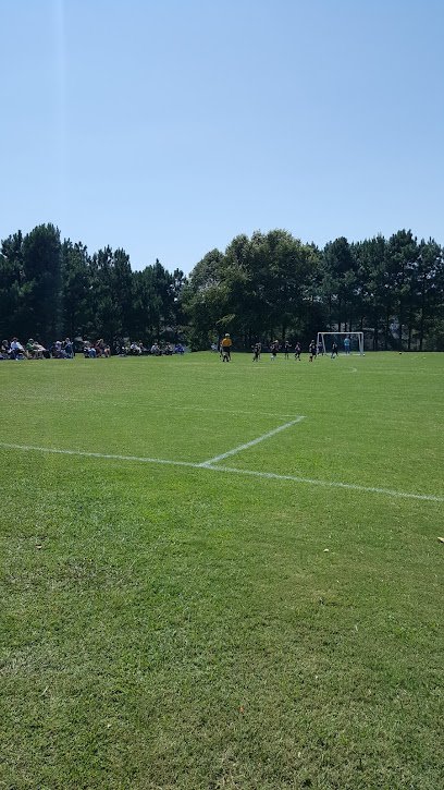 Soccer Field image 1