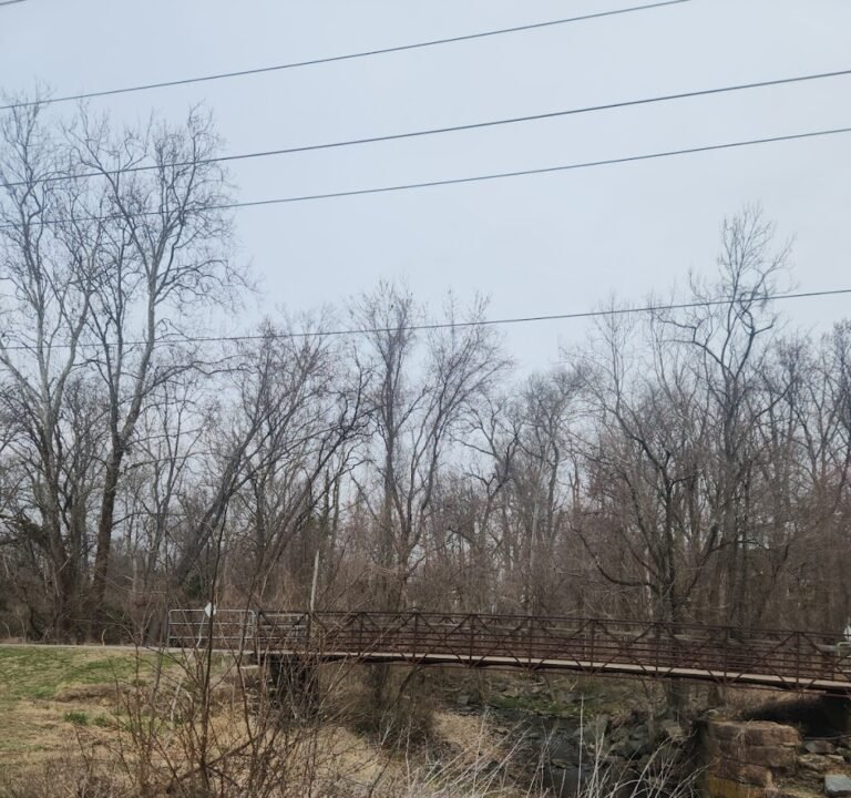 Soccer Field image 3