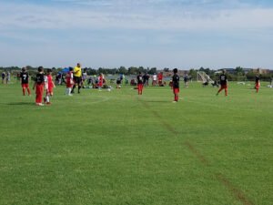 Soccer Field image 1