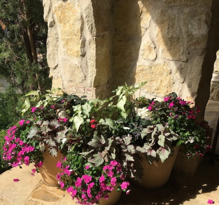 Soccer Field image 2