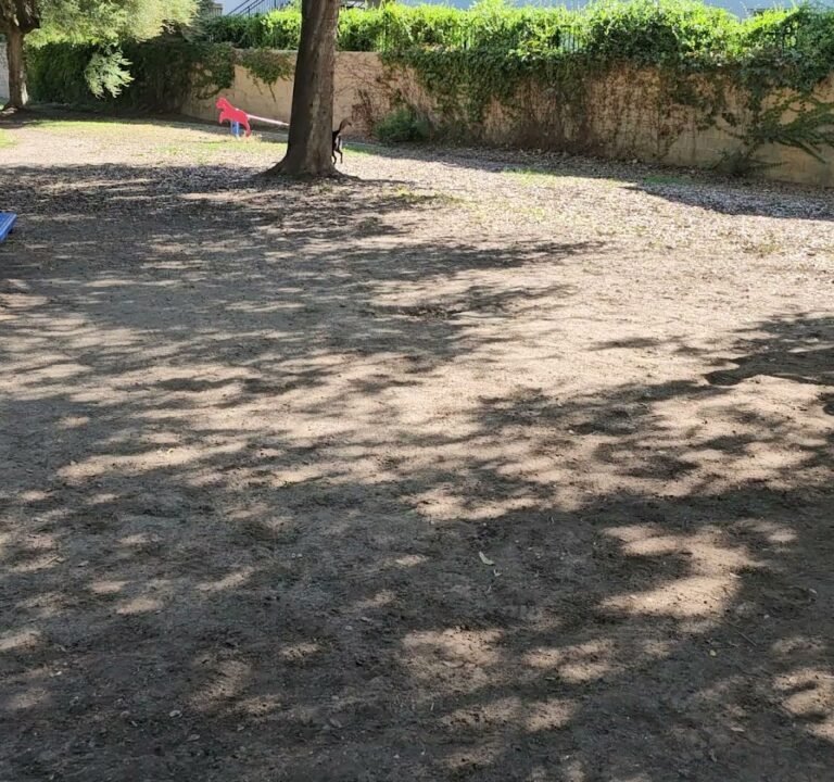 Soccer Field image 4