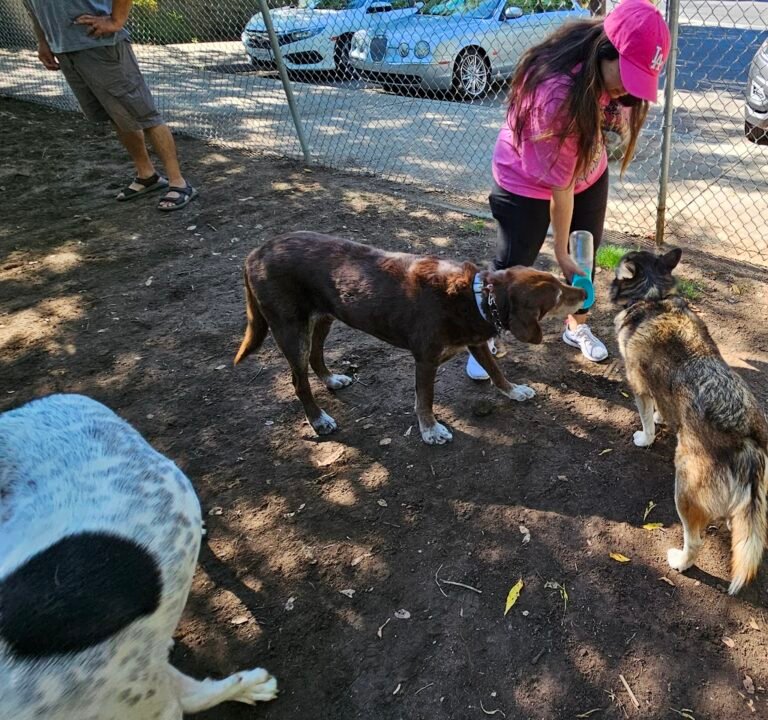 Soccer Field image 3