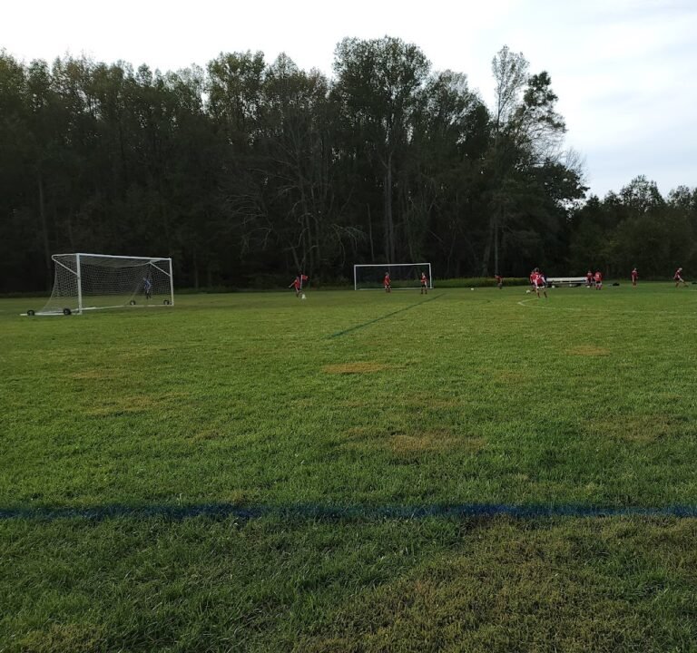 Soccer Field image 2