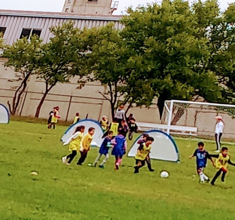 Soccer Field image 3