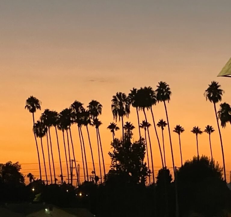 Soccer Field image 2