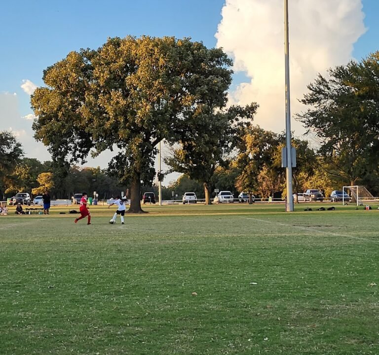 Soccer Field image 2