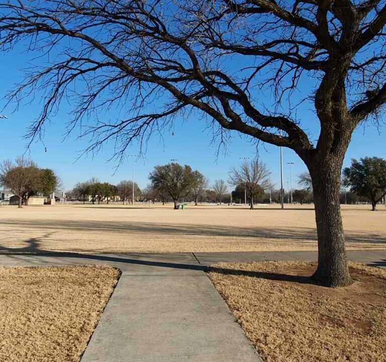 Soccer Field image 4