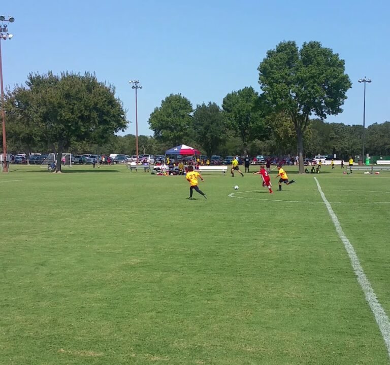 Soccer Field image 3