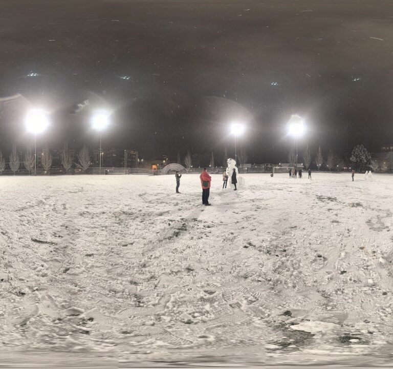 Soccer Field image 3