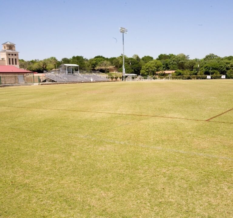 Soccer Field image 2