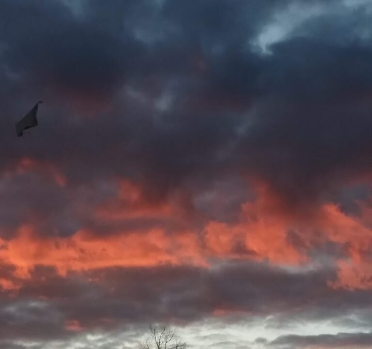 Soccer Field image 3