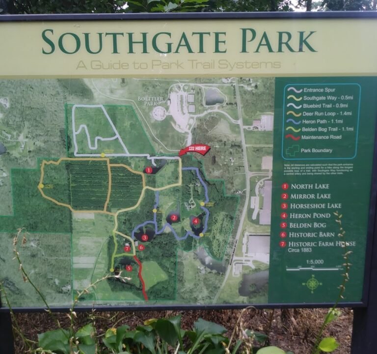 Soccer Field image 3