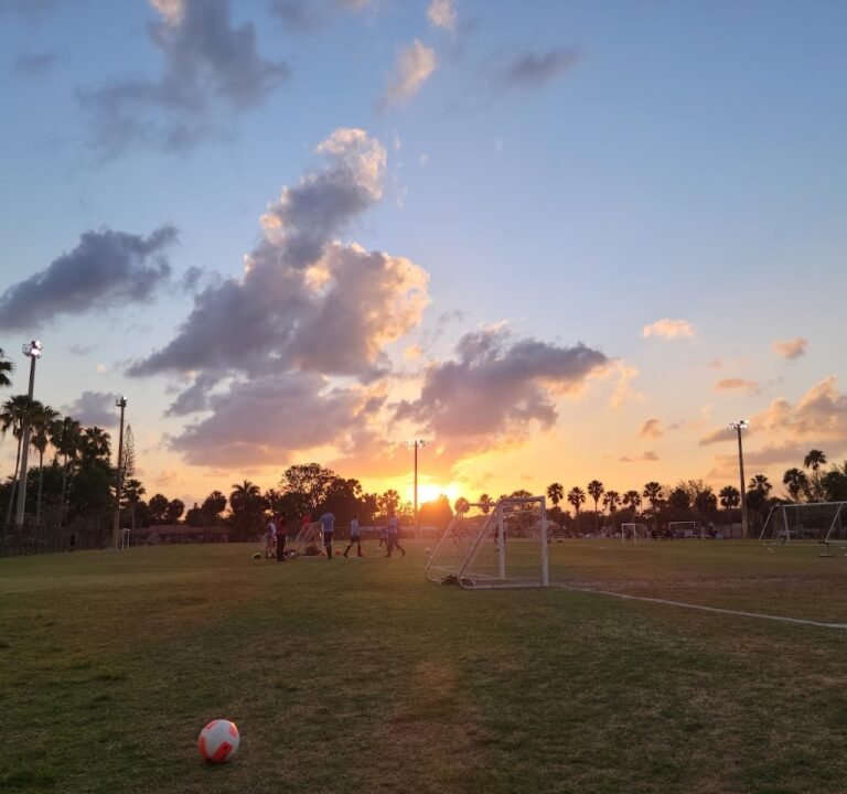 Soccer Field image 2
