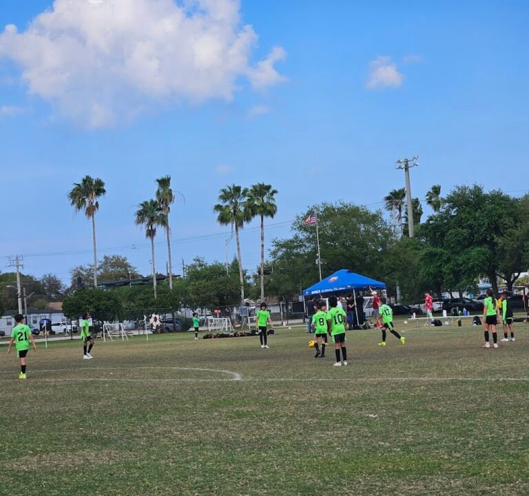 Soccer Field image 3