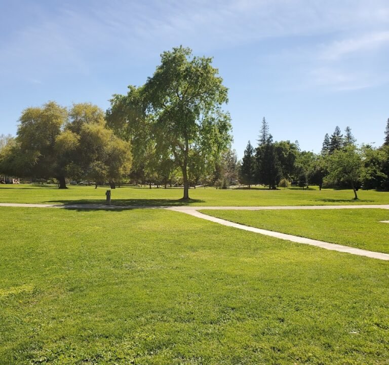 Soccer Field image 2