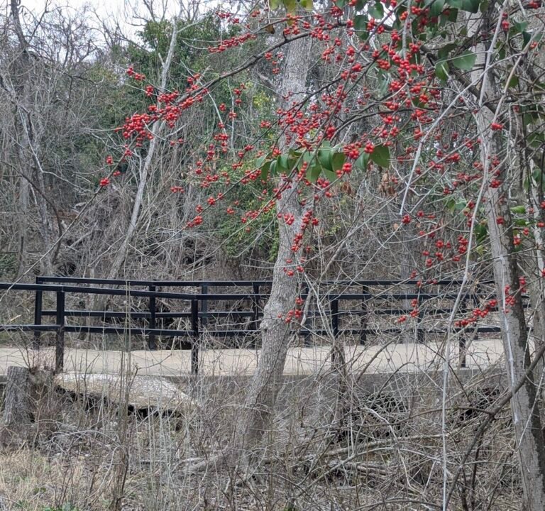 Soccer Field image 3