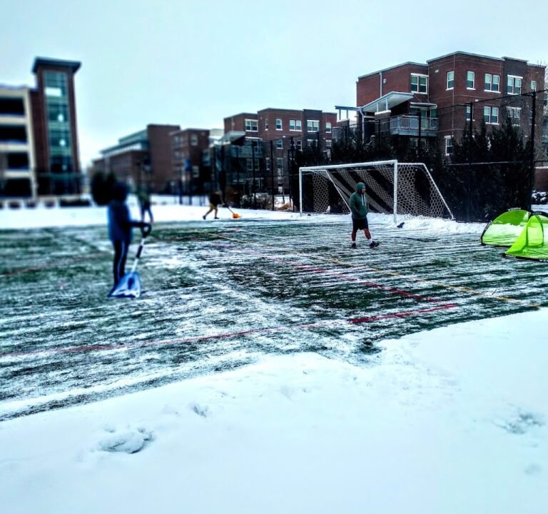 Soccer Field image 2