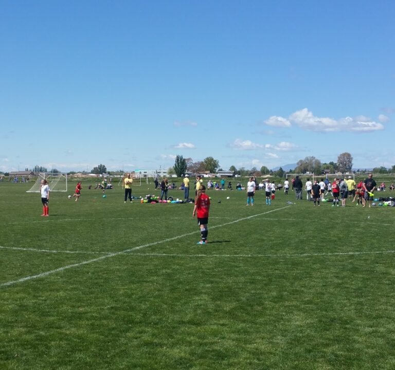 Soccer Field image 2