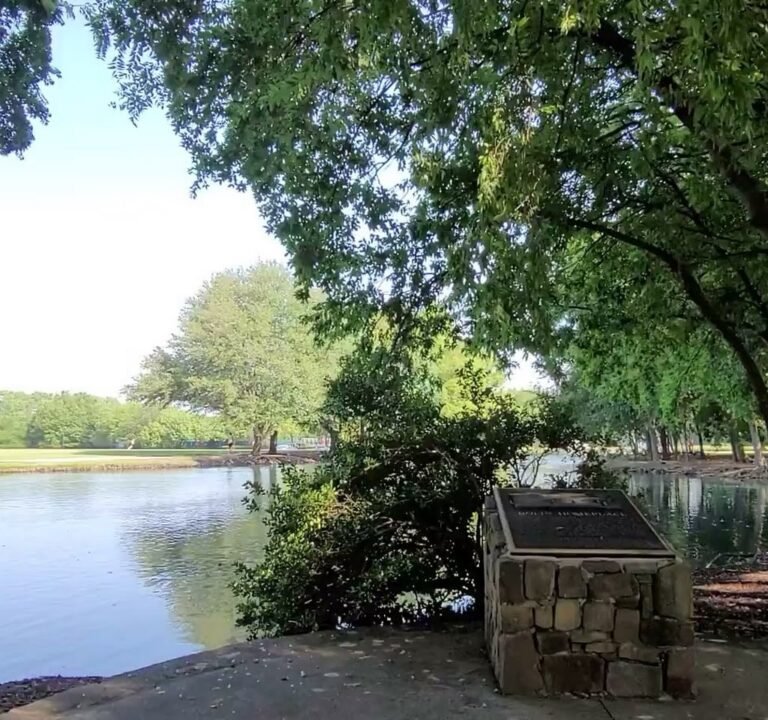 Soccer Field image 4