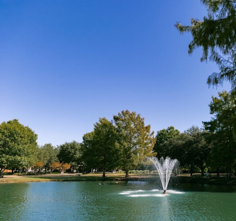 Soccer Field image 2