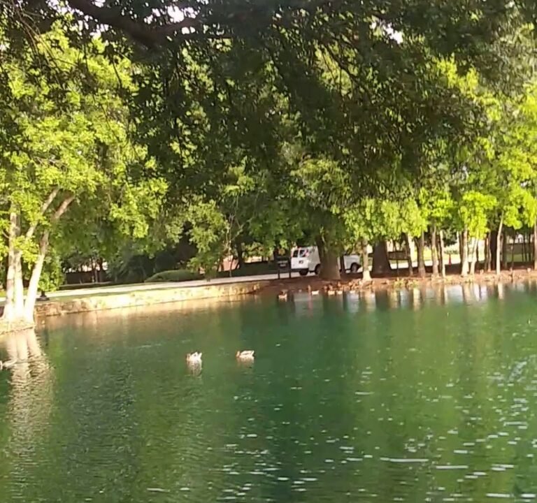 Soccer Field image 3