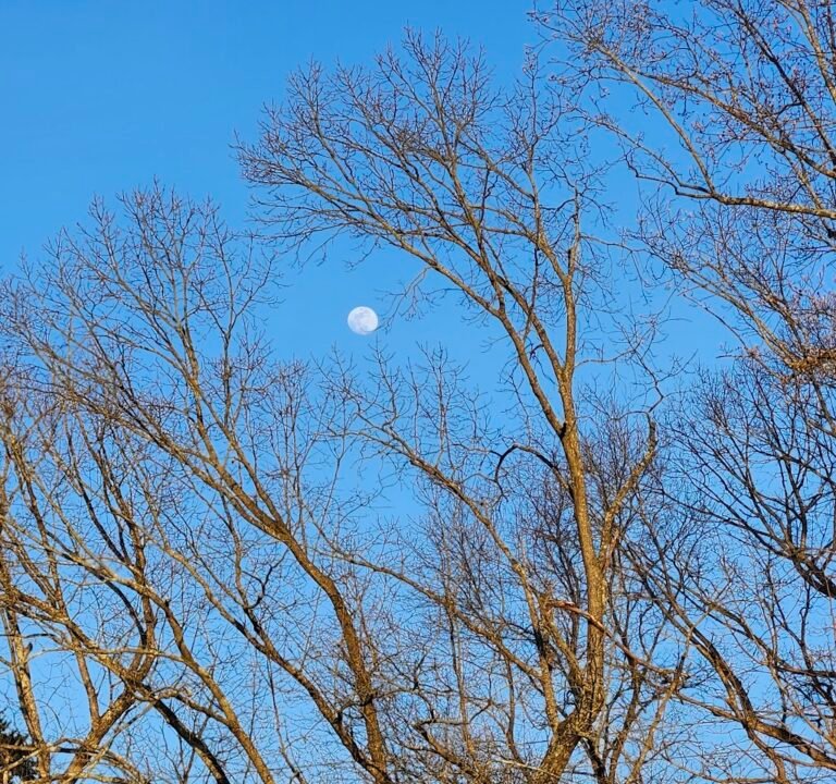 Soccer Field image 3