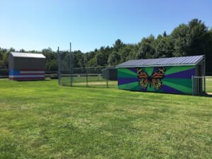 Soccer Field image 1