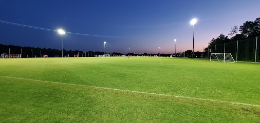 Soccer Field image 1