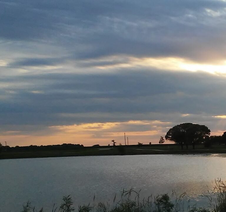 Soccer Field image 2