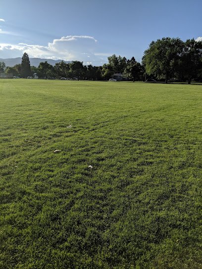 Soccer Field image 1