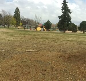 Soccer Field image 4