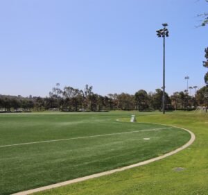 Soccer Field image 3