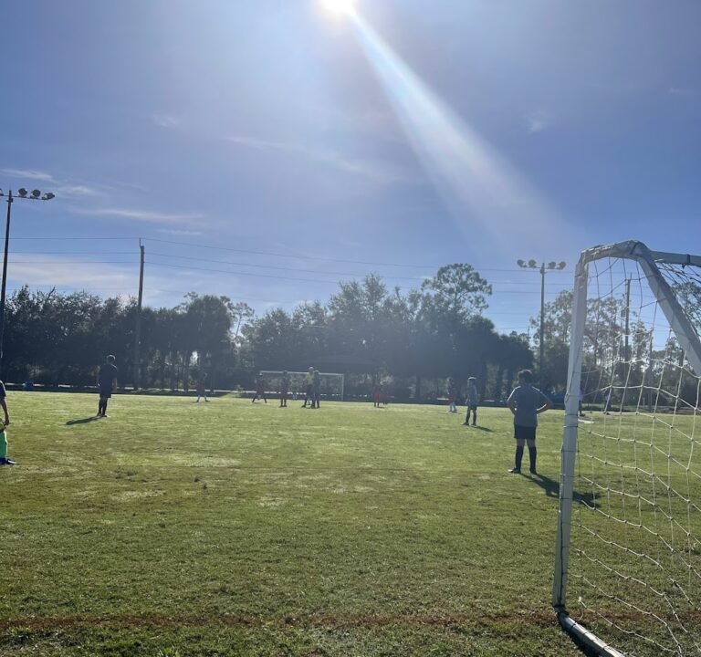 Soccer Field image 2