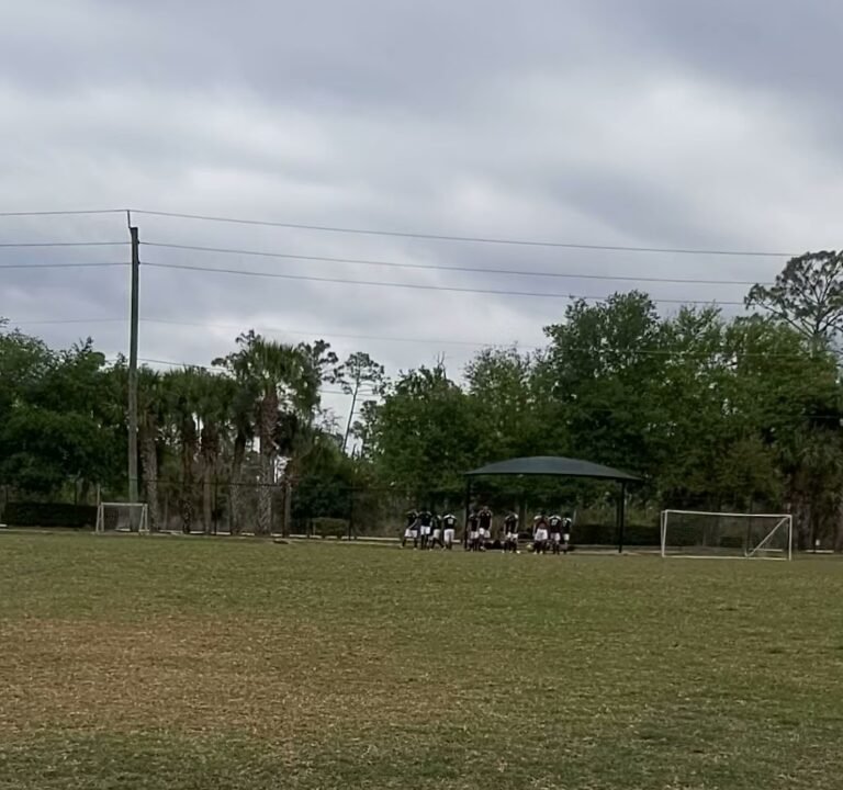 Soccer Field image 3