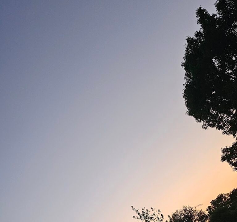 Soccer Field image 3