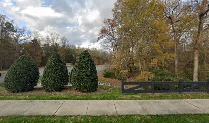 Soccer Field image 1