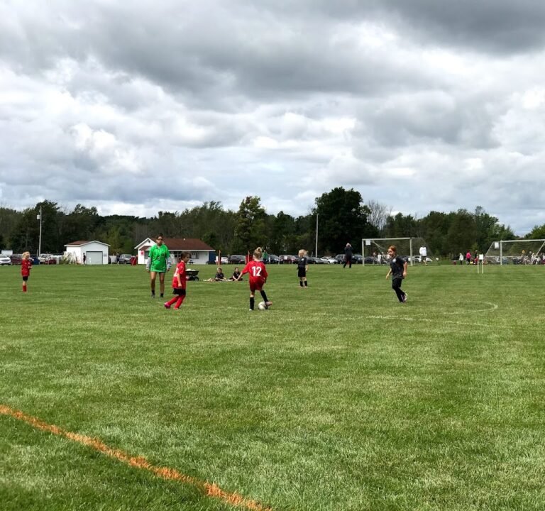 Soccer Field image 3