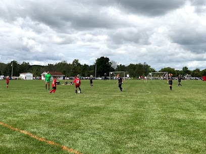 Soccer Field image 1