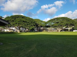 Soccer Field image 1